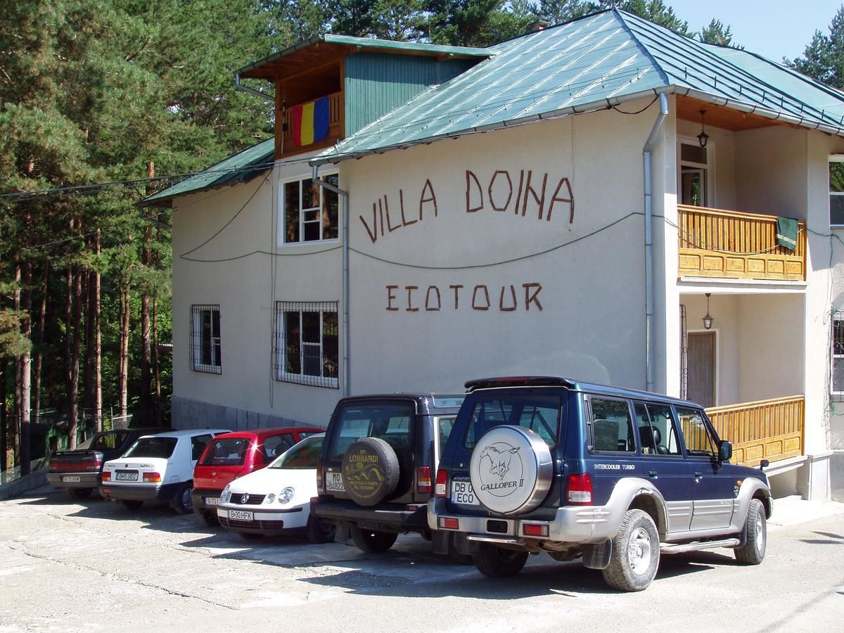 Гостевой дом Villa Doina Ecotour Мороэни