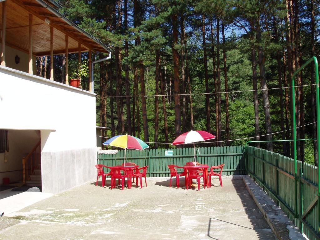 Гостевой дом Villa Doina Ecotour Мороэни